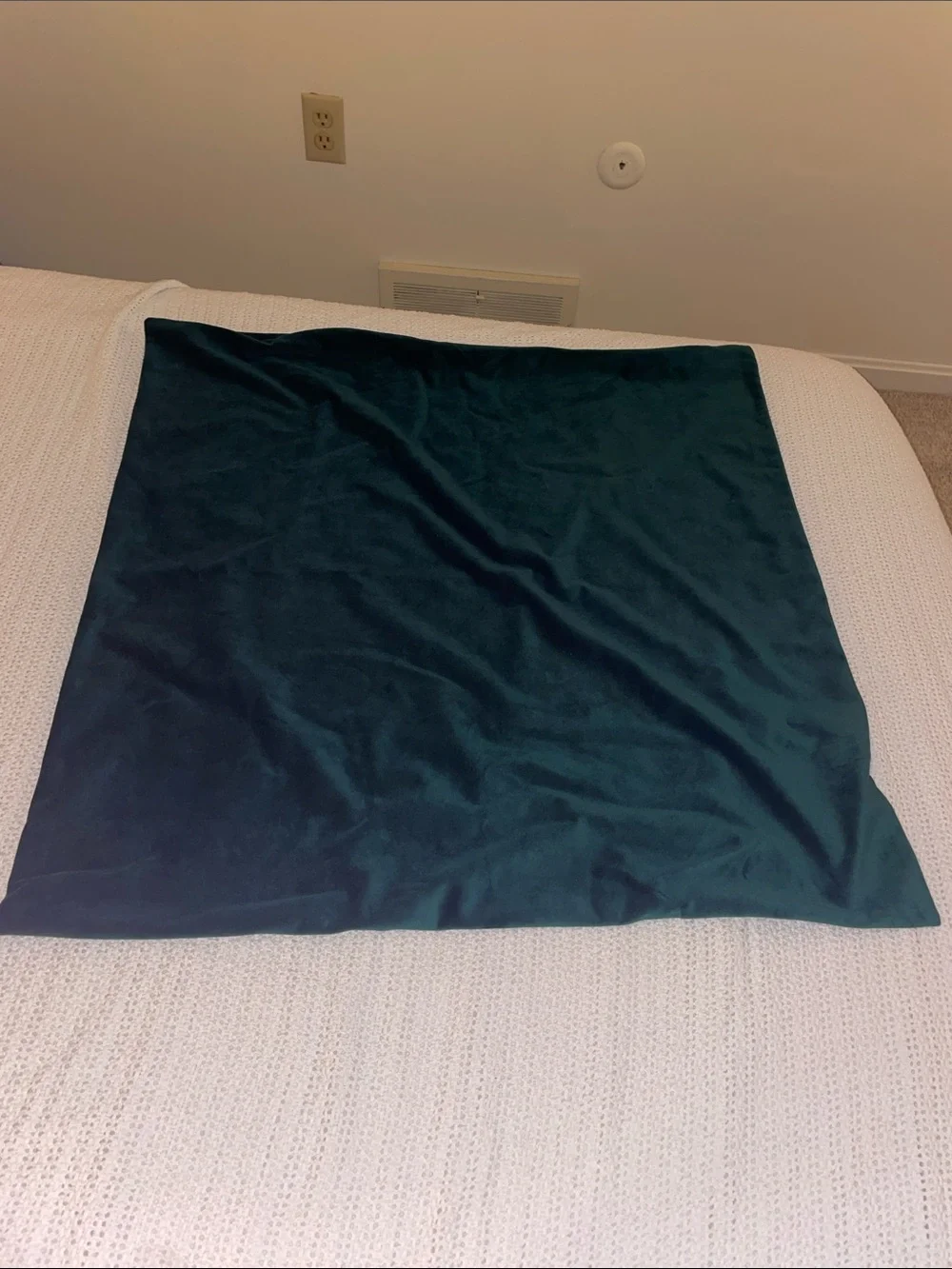 Plush Velvet Pillow Cover